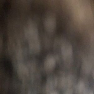 Meet your Posher, Kendall